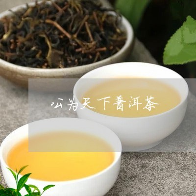 公為天下普洱茶與天下為公酒價格解析及代理銷售指南